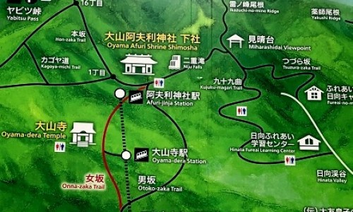 兽药白头翁散正确使用方法-白头翁散兽用药的配方网 :分享白头翁散兽用的功效与作用-白头翁散兽用药的配方及用量知识