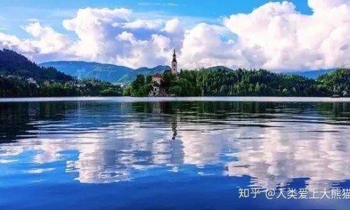 兽药白头翁散正确使用方法-白头翁散兽用药的配方网 :分享白头翁散兽用的功效与作用-白头翁散兽用药的配方及用量知识